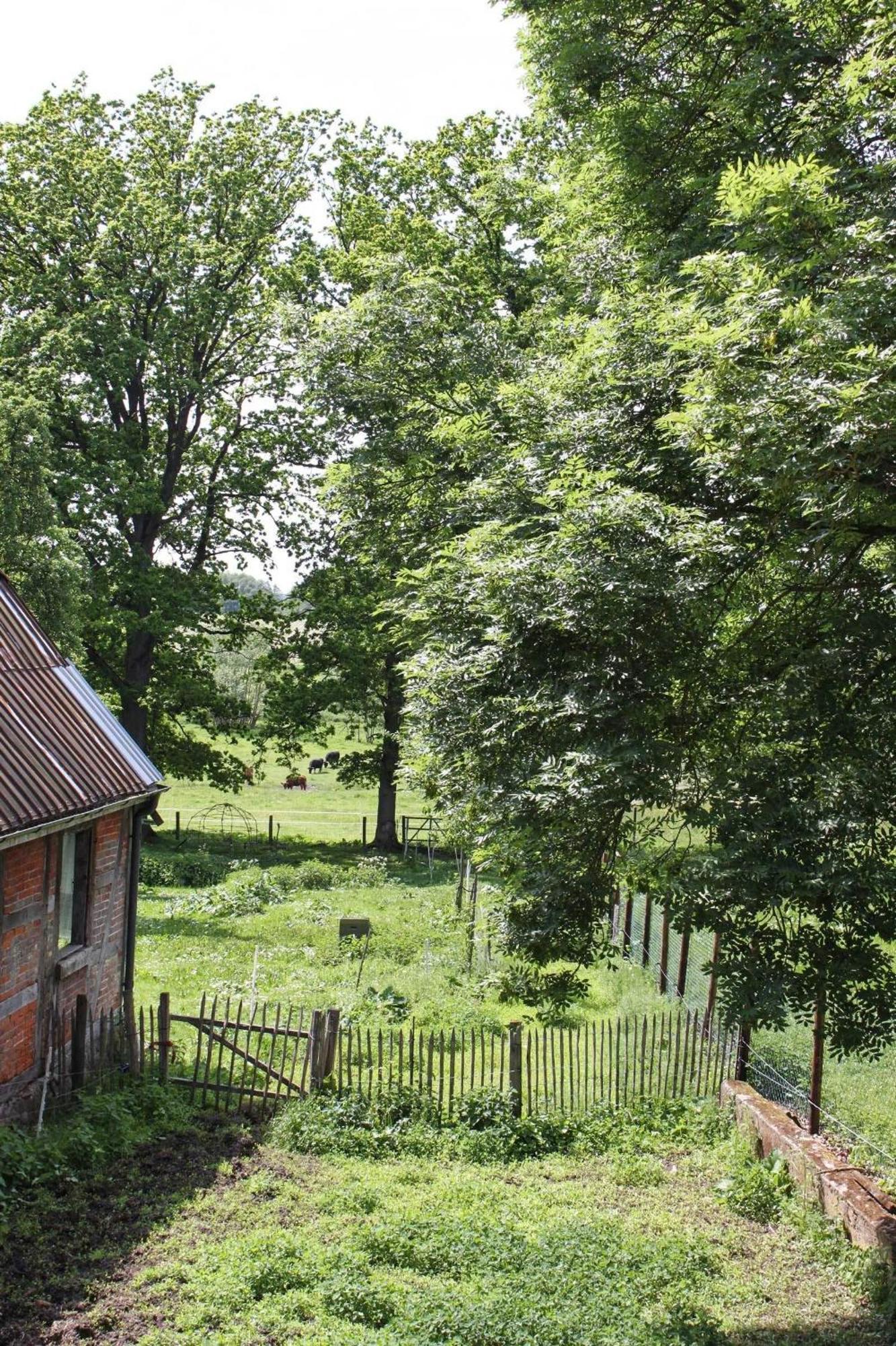 Ferienwohnung Auf Der Ruebenburg Barnsen Екстериор снимка